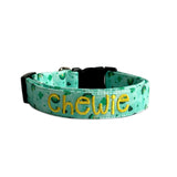 St. Patrick's Day Custom Dog Collar with embroidered name and phone number by Duke and Fox. Green embroidered Dog Collar. Dog Collar with green rainbows, heart, shamrocks, and stars. Personalized Dog Collar. Customize Dog Collar.