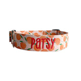 Personalized Dog Collar | Just Peachy Peach Dog Collar | Duke & Fox