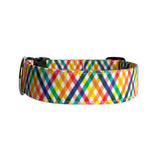 Personalized Dog Collar by Duke & Fox. Custom Dog Collar. Embroidered Dog Collar. Rainbow Dog Collar. 