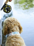 Goldendoodle Dog Collar. Golden doodle wearing a fishing lures dog collar that is embroidered.