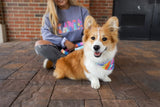 Dog Mama sweatshirt and a corgi wearing a personalized dog bandana.