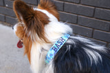 Blue Tie Dye Dog Collar