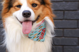 Welsh corgi wearing a personalized dog bandana