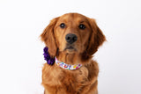 Personalized Dog Collar | Happy Birthday Dog Collar | Duke & Fox®
