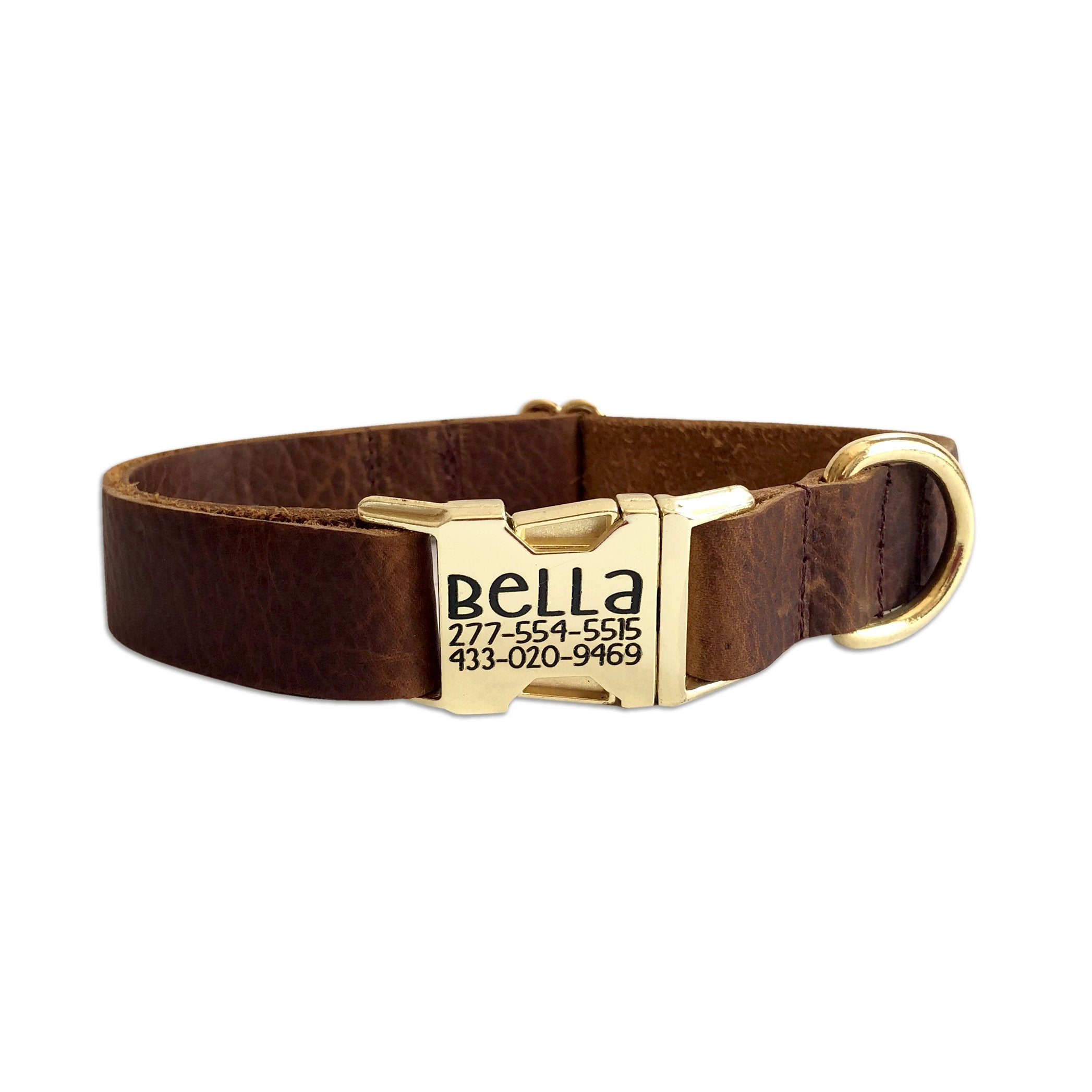 Leather stamped dog sales collar