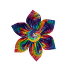 Rainbow Tie Dye Dog Collar Flower. Dog Collar flower accessory. Duke & Fox dog collar accessory for personalized dog collars. Duke & Fox dog collar flowers will wrap onto any dog collar with a velcro strap.