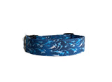 Personalized Dog Collar | Watercolor Shark Dog Collar | Duke & Fox®