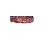 Whether choosing from a traditional dog collar, embroidered dog collar, or engraved buckle dog collar, you’ll find a great selection of personalized dog collars to choose from.  Duke & Fox® personalized dog collars come in a variety of unique styles and patterns. Our embroidered collars and engraved buckle collars also add to your dog's safety and your peace of mind with critical contact information should you and your dog get separated.  Colorful berry leaves dog collar. 