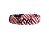 Whether choosing from a traditional dog collar, embroidered dog collar, or engraved buckle dog collar, you’ll find a great selection of personalized dog collars to choose from.  Duke & Fox® personalized dog collars come in a variety of unique styles and patterns. Our embroidered collars and engraved buckle collars also add to your dog's safety and your peace of mind with critical contact information should you and your dog get separated.  Christmas candy cane dog collar. 