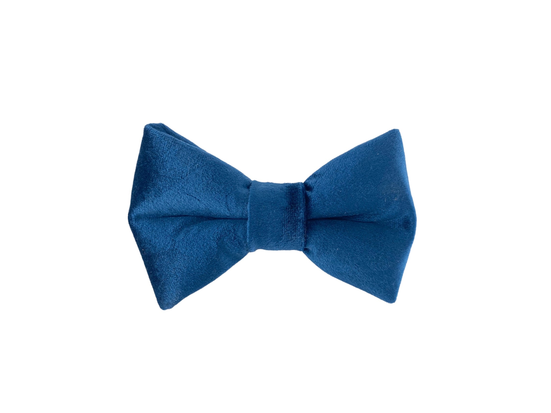 Deep blue velvet bow tie that can be attatched to a dog collar.
