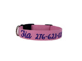 Whether choosing from a traditional dog collar, embroidered dog collar, or engraved buckle dog collar, you’ll find a great selection of personalized dog collars to choose from.  Duke & Fox® personalized dog collars come in a variety of unique styles and patterns. Our embroidered collars and engraved buckle collars also add to your dog's safety and your peace of mind with critical contact information should you and your dog get separated.  Solid pink embroidered dog collar. 