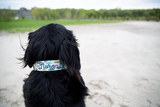 St. Bernese on a lake wearing a Duke & Fox® Personalized dog collar with fishing lures and an embroidered name in navy blue thread.