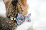 Personalized Cat Collar | Les Fleurs Cat Collar | Duke & Fox®