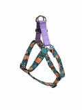 Clementine Step In Harness