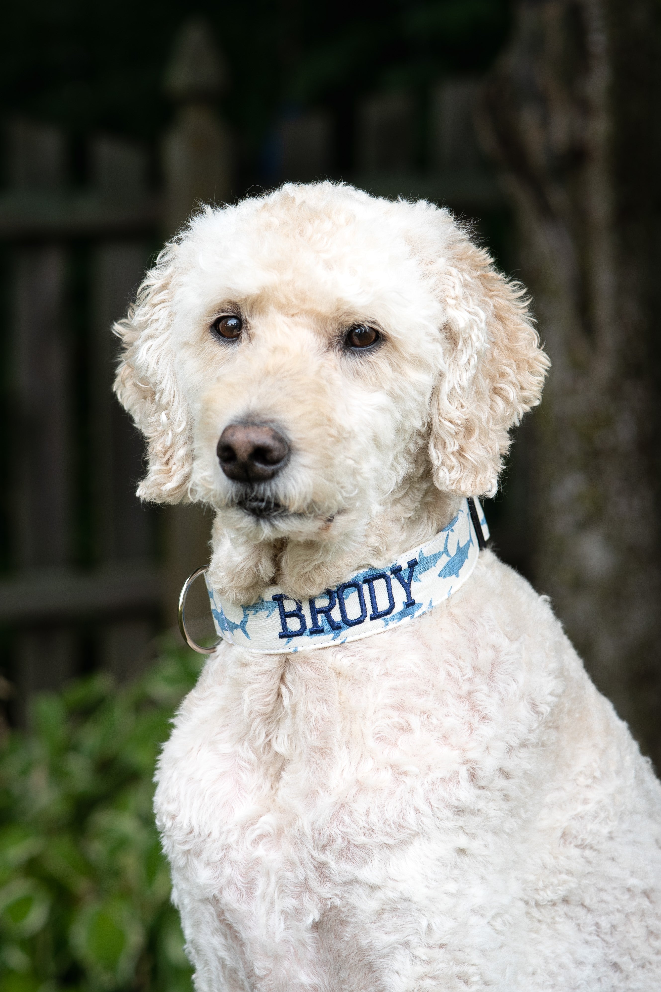 Preppy Dog Collars, Classy Dog Collars