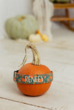 Pumpkins & Leaves Oh My! Dog Collar