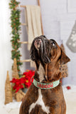 Personalized Dog Collar | Reindeer Dog Collar | Duke & Fox®