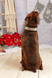 Personalized Dog Collar | Reindeer Dog Collar | Duke & Fox®