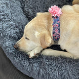 Personalized Dog Collar | Rifle Paper Co. Les Fleurs Dog Collar | Duke & Fox®